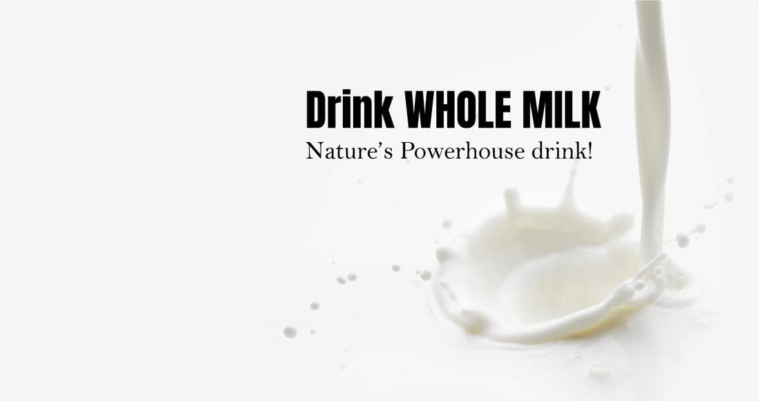 Dairy cows and farmland — 97 Milk educates communities about whole milk and local dairy farming