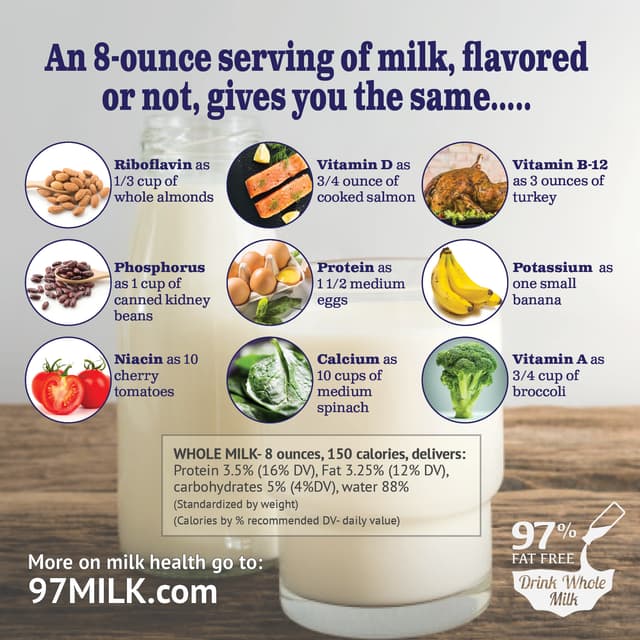97MILK Info Handout